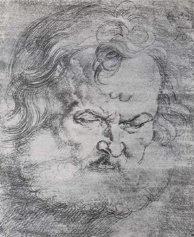 Head of St.Peter, Albrecht Durer